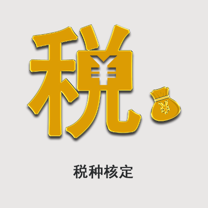 公司核定税种